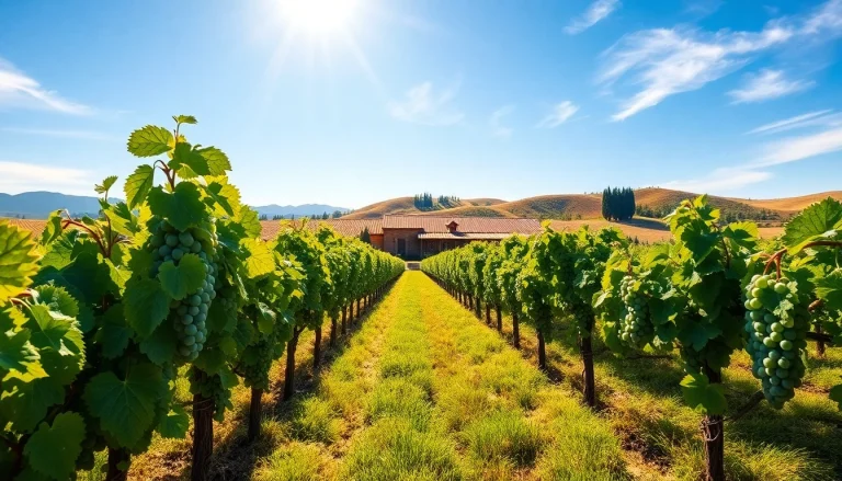 Captivating view of the best california wineries with lush vineyards and a rustic winery under a bright blue sky.